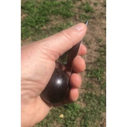 Couteaux à huitres WENGE 01