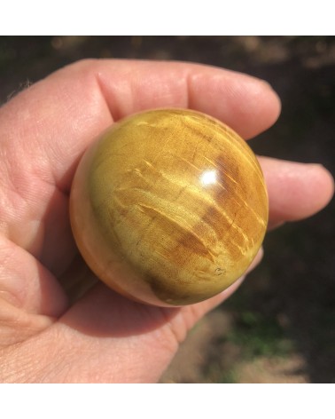 Couteaux à huitres loupe d'ERABLE stabilisé jaune 03