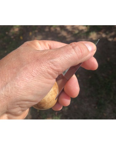 Couteaux à huitres BROUSSIN DE PLATANE  stabilisé  03